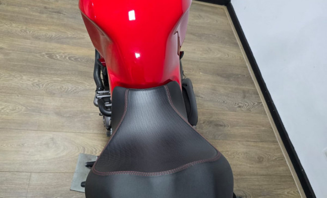 DUCATI MONSTER 1200 S 2020-13