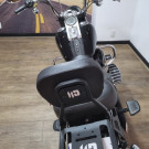 HARLEY-DAVIDSON FAT BOY FLSTF 2009 Gasolina-11